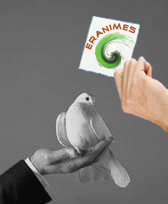Brieftaube
